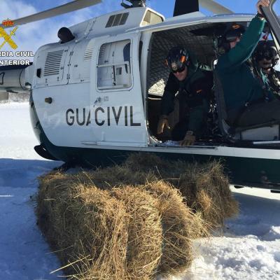 Guardia En Navamuel