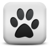 Captcha image 2434